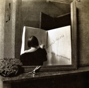 ...les oiseaux vous poursuivent